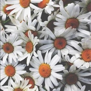 Meet your Posher, Maya